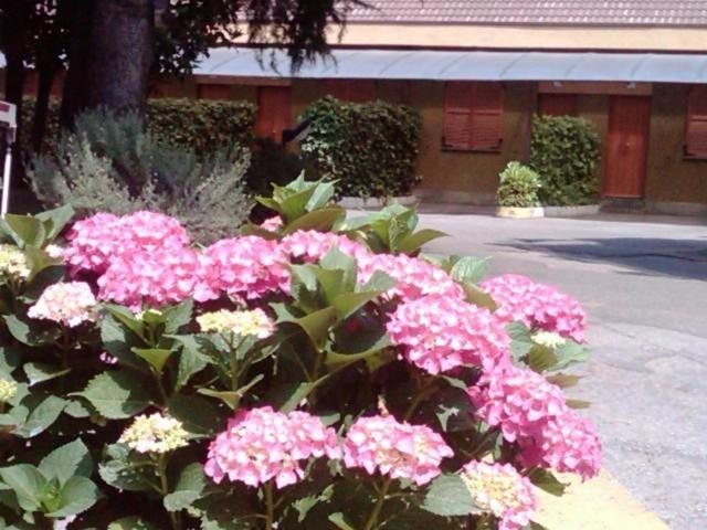 Hotel Motel Ovest Vittuone Екстериор снимка
